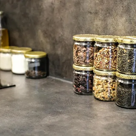 Studio Cocooning In & Help An Ecoproject ! Apartamento Estrasburgo